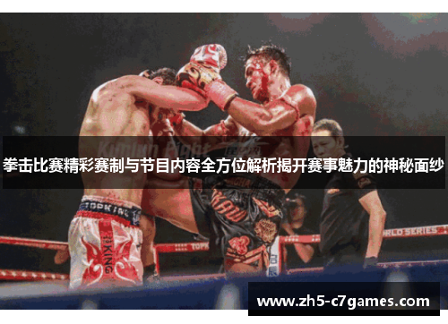 拳击比赛精彩赛制与节目内容全方位解析揭开赛事魅力的神秘面纱