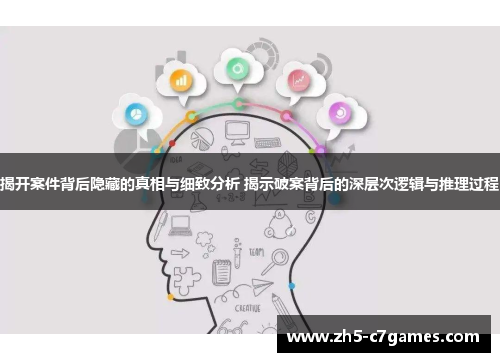 揭开案件背后隐藏的真相与细致分析 揭示破案背后的深层次逻辑与推理过程